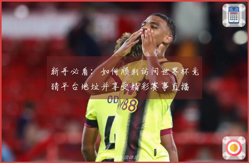 新手必看:如何顺利访问世界杯竞猜平台地址并享受精彩赛事直播