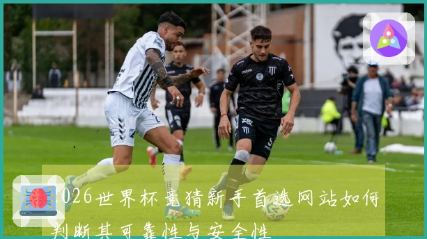 2026世界杯竞猜新手首选网站如何判断其可靠性与安全性