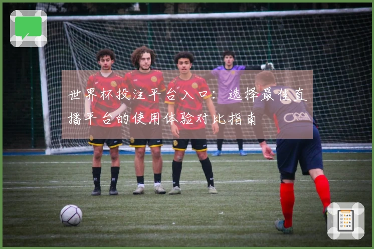 世界杯投注平台入口：选择最佳直播平台的使用体验对比指南