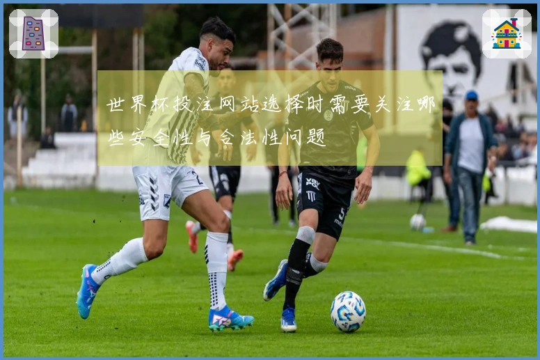 世界杯投注网站选择时需要关注哪些安全性与合法性问题