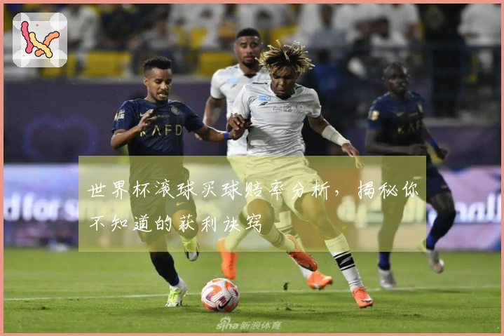 世界杯滚球买球赔率分析，揭秘你不知道的获利诀窍