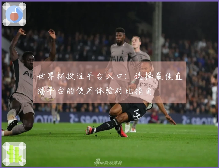 世界杯投注平台入口：选择最佳直播平台的使用体验对比指南