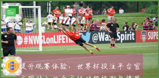 提升观赛体验，世界杯投注平台官方网站入口全方位功能评测与使用感受