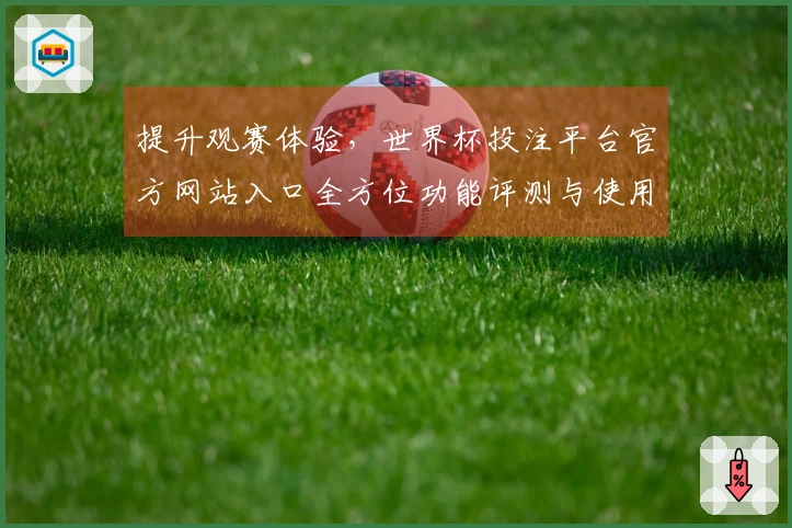 提升观赛体验，世界杯投注平台官方网站入口全方位功能评测与使用感受