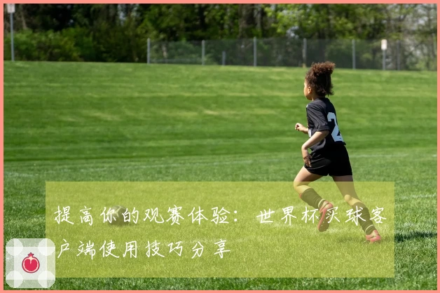 提高你的观赛体验：世界杯买球客户端使用技巧分享