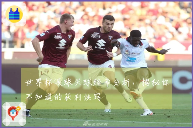 世界杯滚球买球赔率分析,揭秘你不知道的获利诀窍