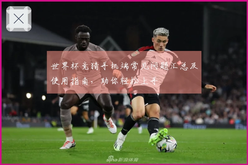 世界杯竞猜手机端常见问题汇总及使用指南，助你轻松上手