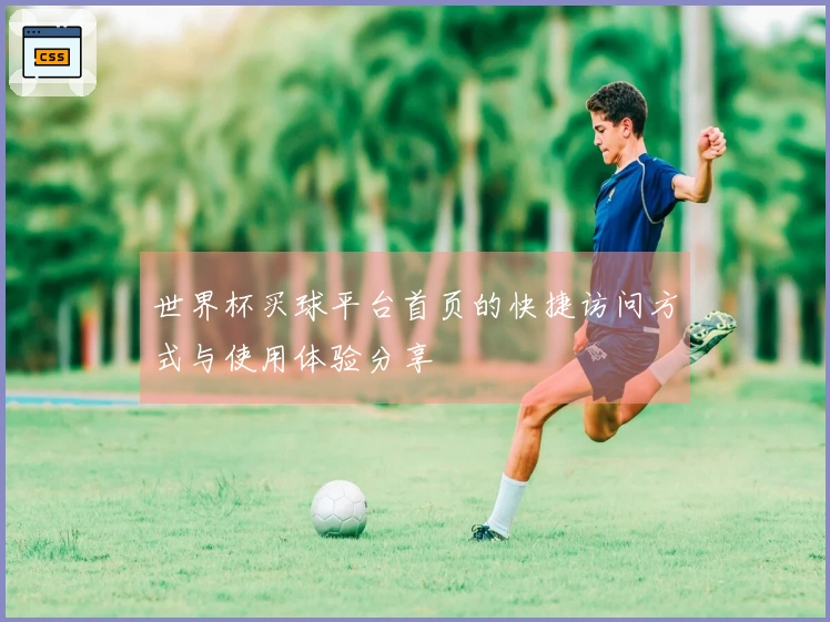 世界杯买球平台首页的快捷访问方式与使用体验分享